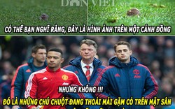 ẢNH CHẾ (24.1): Old Trafford thành nhà ổ chuột, Mourinho “đá đít” Van Gaal