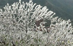 Ảnh: Tuyết phủ tuyệt đẹp trên đỉnh Yên Tử