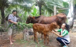 Nhờ Lục Lạc Vàng mà có thêm động lực sống của cặp vợ chồng người Khmer