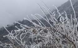 Những hình ảnh đẹp nhất về băng tuyết ở Sa Pa