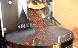 Đăk Lăk: 14 dự án đầu tư chế biến cà phê