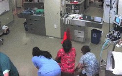 Video: Chó cõng bác sĩ thú y chạy thoát khỏi phòng khám