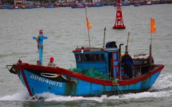 Ngư dân mặc áo mưa chống rét, vươn khơi kiếm "lộc biển"