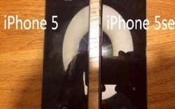 Lộ ảnh phiên bản đặc biệt iPhone 5 SE