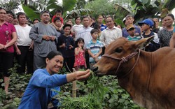 Tết trọn vẹn của gia đình “con tâm thần, mẹ hen suyễn”