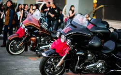 Lễ rước dâu độc đáo của dàn xe Harley-Davidson 'khủng'