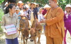 Người cửu vạn đổi đời nhờ cặp bò “đầu cơ nghiệp”