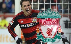 Hận Van Gaal, Chicharito chuẩn bị gia nhập Liverpool?