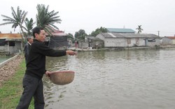 Học nuôi cá tại ao nhà mình