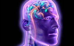 Hệ thống máy tính giúp đọc suy nghĩ con người bằng điện não
