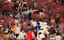 Chợ hoa Hà Nội: Từ Hàng Đường đến Hàng Lược