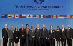 TPP "chỉ là một tờ giấy" cho tới năm 2018