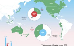 Đạt 35 thỏa thuận song phương TPP về tài chính, dệt may, nông nghiệp