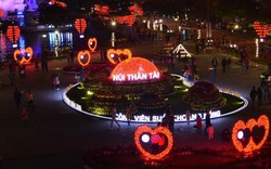 Ảnh: Đường phố Đà Nẵng đẹp lộng lẫy trong đêm Giao thừa