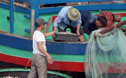 Đầu năm, ngư dân Nghệ An trúng đậm "lộc biển"