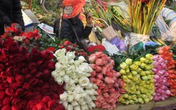 Khan hiếm, hoa hồng Valentine tăng giá mạnh