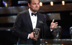 Leonardo DiCaprio đại thắng các giải thưởng trước Oscar