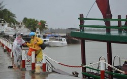 Giải cứu gần 100 người mắc kẹt ở đảo Cù Lao Chàm