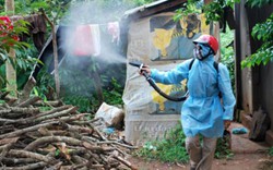 Bộ Y tế: Hoá chất diệt muỗi nghi gây teo não chỉ dùng ở nước thải