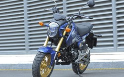 Cận cảnh môtô Honda MSX 125 SF 2016