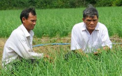 Làm Hội mà không bám sát nhu cầu của dân thì.. uổng cơm