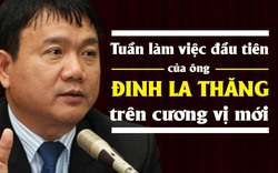 [Infographic] Tuần làm việc đầu tiên của Bí thư Đinh La Thăng