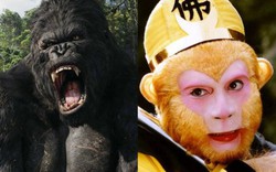 Những "anh khỉ" nổi tiếng nhất màn ảnh