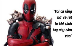 Những câu thoại chỉ có ở siêu anh hùng "Deadpool"