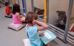 Mỹ: Trẻ em thích đọc sách cho chó