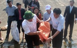 Quảng Nam thả 50.000 cá giống xuống hồ thuỷ điện