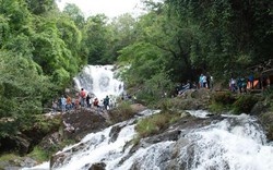 Đà Lạt: Tìm thấy cả 3 thi thể khách ngoại tử nạn ở thác Datanla