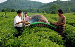 Tuyên Quang: Đẩy mạnh  tín dụng cho nông nghiệp