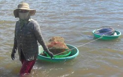 Ninh Thuận: Hến dày đặc lòng sông, 4 tiếng bắt được cả tạ