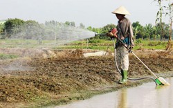 Giải mã đại hạn kỷ lục ở vựa lúa đồng bằng sông Cửu Long