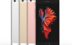 iPhone SE lộ ảnh thực tế, giá dưới 10 triệu đồng