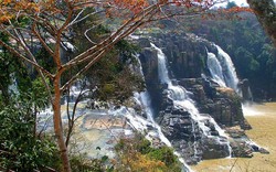 Tìm thấy thi thể du khách nước ngoài ở thác Pongour