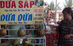 Trà Vinh: Dừa sáp 200.000 đồng 1 quả vẫn không đủ bán
