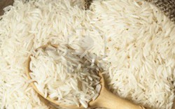 Gạo nhập lậu lũng đoạn thị trường lúa gạo nội địa