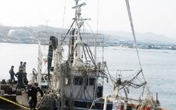 Vụ tàu cá Dongkyeong 201 mất tích: Tìm thấy thêm một thi thể nghi là thuyền viên người Việt
