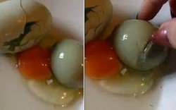Video: Kỳ lạ trứng gà "đẻ" ra trứng