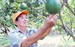 Lão nông tỷ phú làm giàu ở tuổi "cổ lai hy"