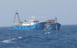 Tàu cá bị đâm chìm, 5 ngư dân vẫn mất tích trên biển Hoàng Sa