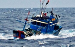 Tìm thấy 5 ngư dân còn sống trên tàu bị đâm chìm ở Hoàng Sa