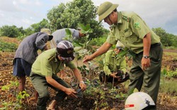 Nghịch lý có tiền nhưng không có đất trồng rừng