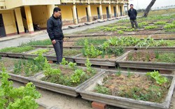 Trao cơ hội làm ăn cho nông dân