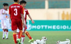 Cầu thủ U19 PVF bị chó cắn... ngay trên sân