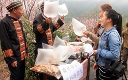 Du khách Trung Quốc lên núi mua không khí về 'thưởng thức'