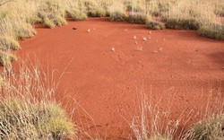 Phát hiện dấu vết người ngoài hành tinh ở Australia?