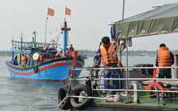 Quảng Nam: Gần 20 giờ vượt sóng đưa tàu cá bị nạn ở biển Hoàng Sa vào bờ