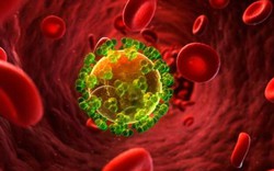 Lần đầu tiên tìm ra phương pháp diệt tận gốc HIV